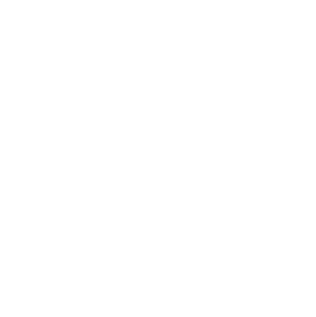 ac inspection icon